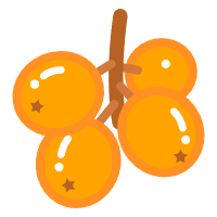 枇杷