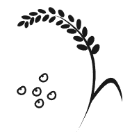 小米