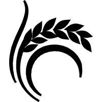 水稻