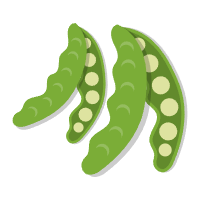 扁豆