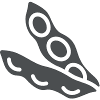 大豆